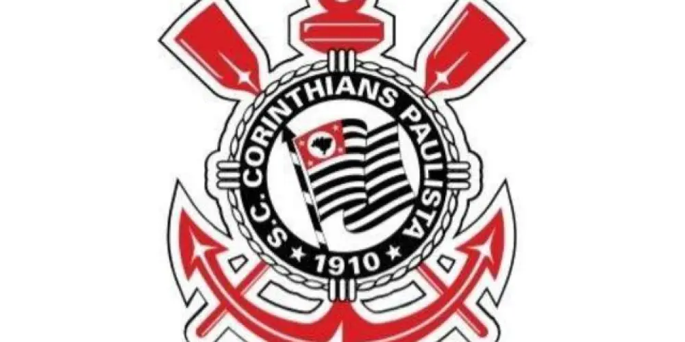 Imagem do grupo de WhatsApp MEU TIMÃOOOO 🖤🤍!