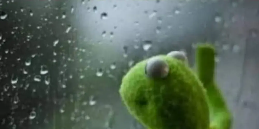 Imagem do grupo de WhatsApp MiaUSurTaDos😼🇦🇴
