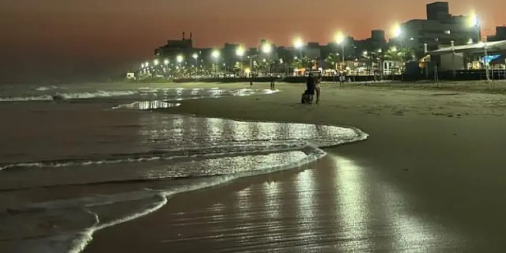 Imagem do grupo de WhatsApp 💯 mídia