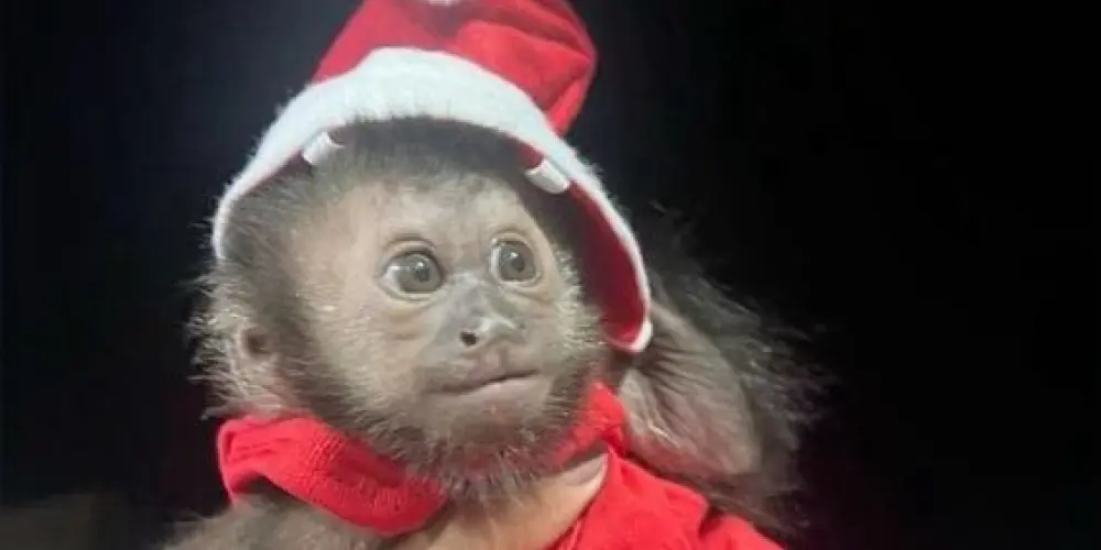 Imagem do grupo de WhatsApp 💯 midia