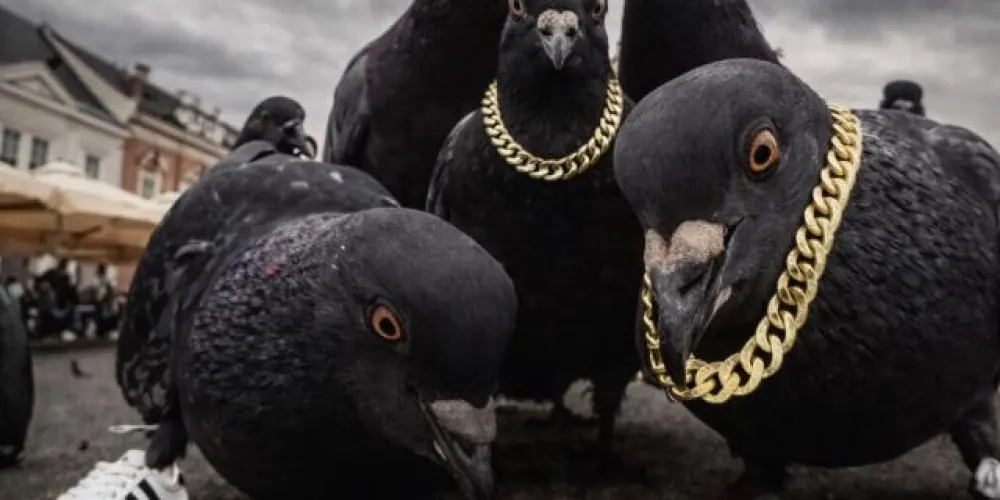 Imagem do grupo de WhatsApp Mídia 💯🔥