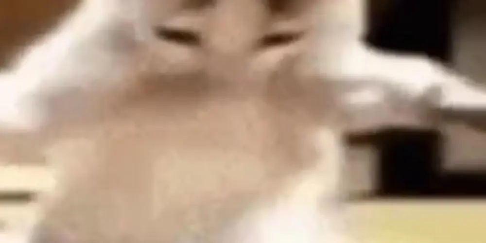 Imagem do grupo de WhatsApp MIGOS❤️