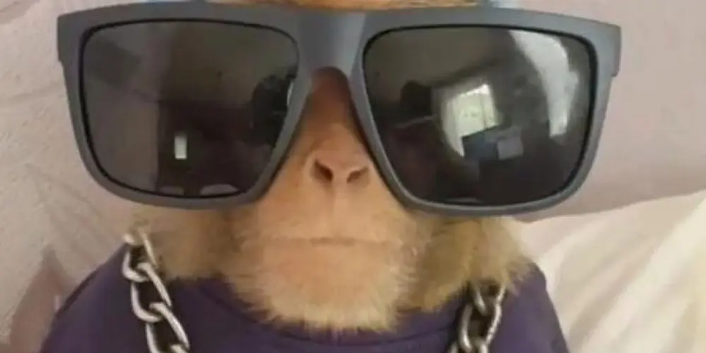 Imagem do grupo de WhatsApp Mijei ali 2 😂🔥