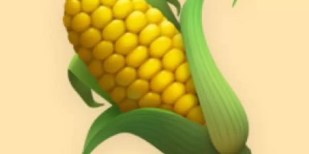 Imagem do grupo de WhatsApp Milho