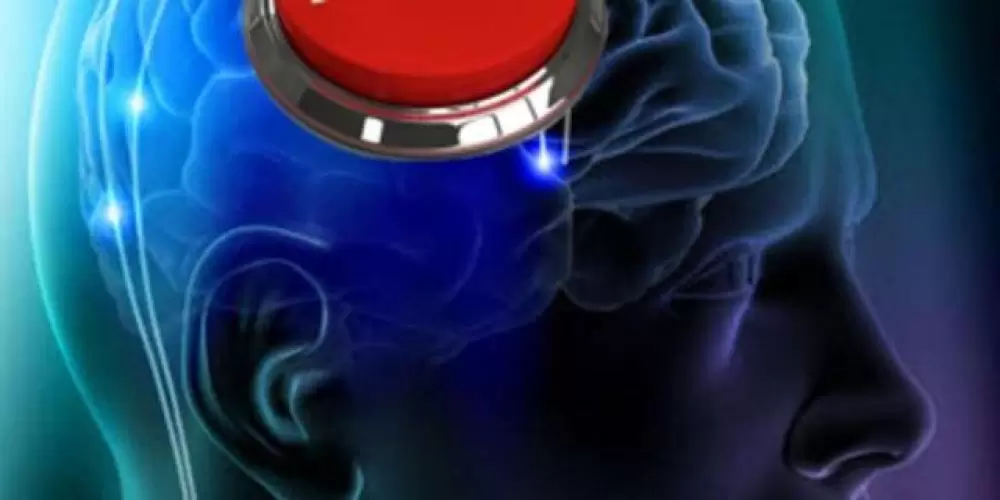 Imagem do grupo de WhatsApp Mindset de um leão 🦁 ( dê um reset em sua mente 🧠 )