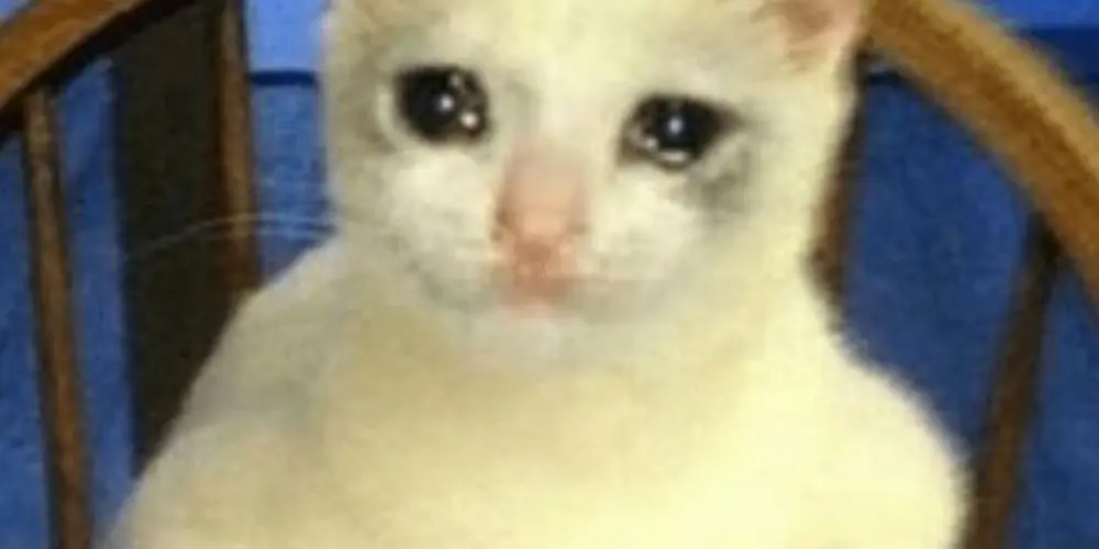 Imagem do grupo de WhatsApp Minecraft 1.21 servidor