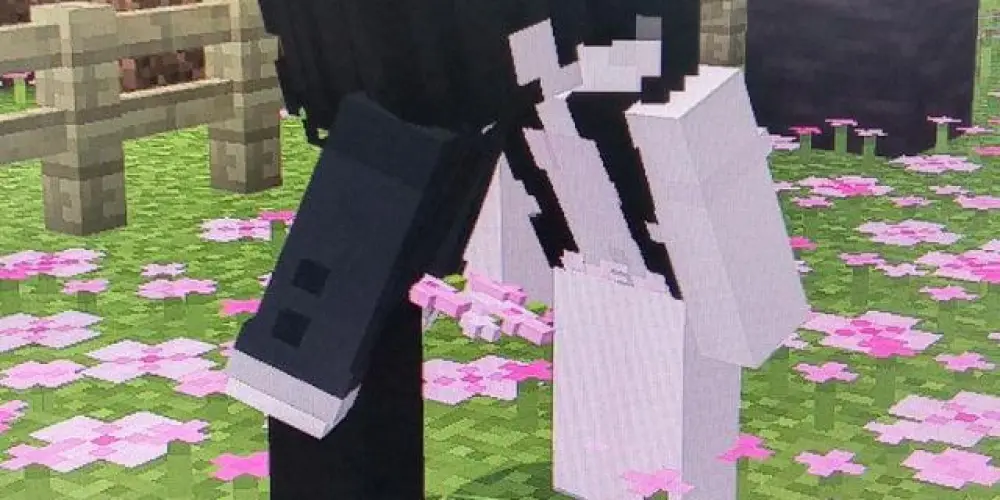 Imagem do grupo de WhatsApp minecraft 🌸