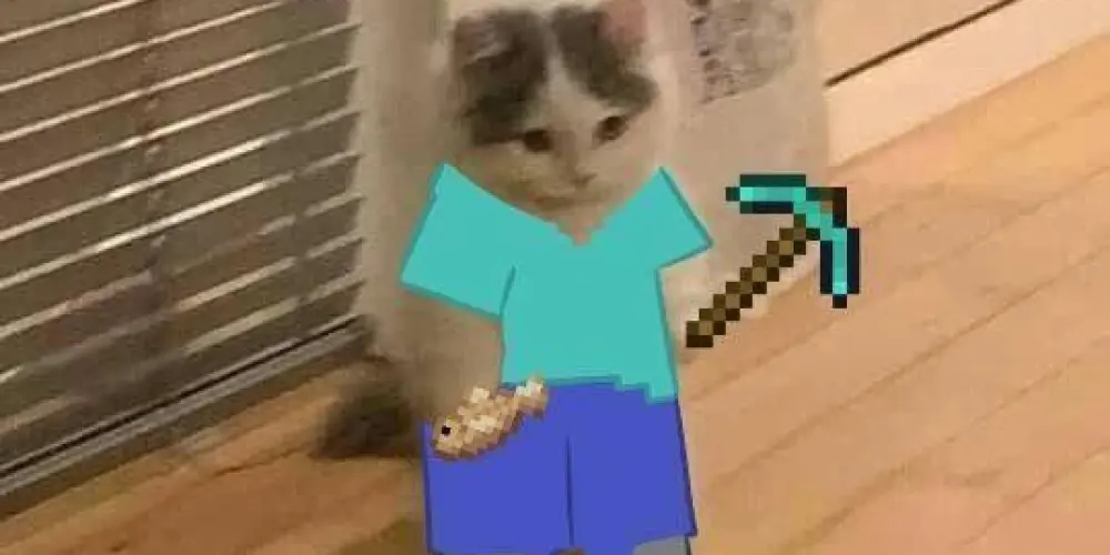 Imagem do grupo de WhatsApp Minecraft Bedrock - Servidor Wolf Syvera