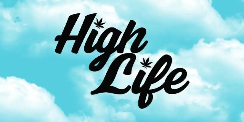 Imagem do grupo de WhatsApp Minecraft - HighLife Together