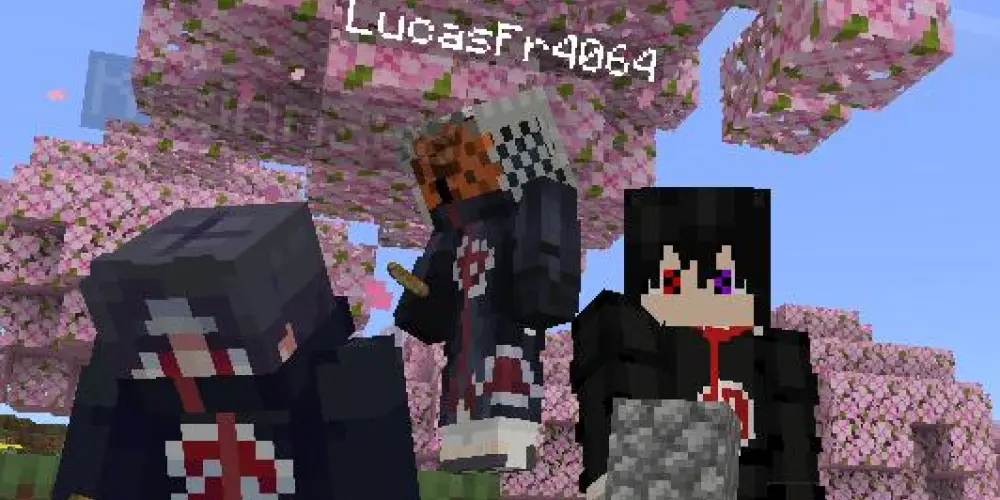 Imagem do grupo de WhatsApp Minezin, quem vem?