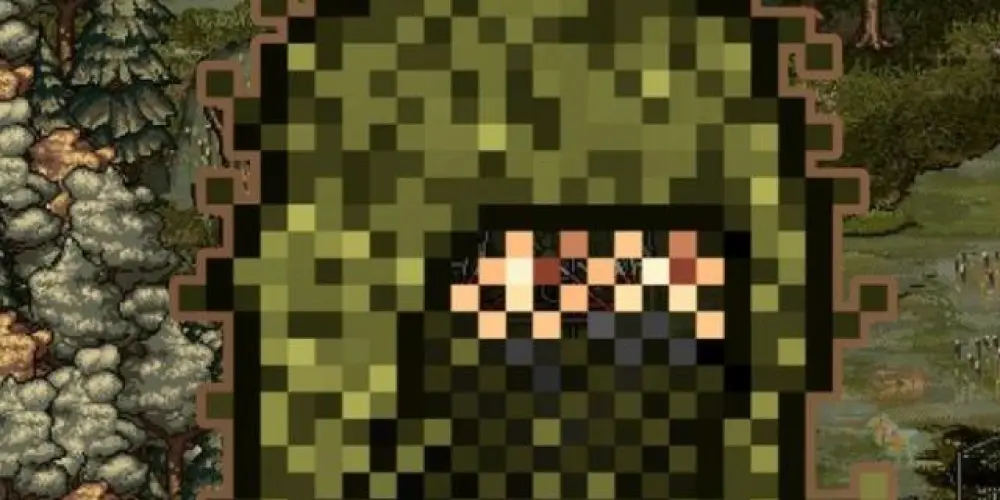 Imagem do grupo de WhatsApp MiniDayz