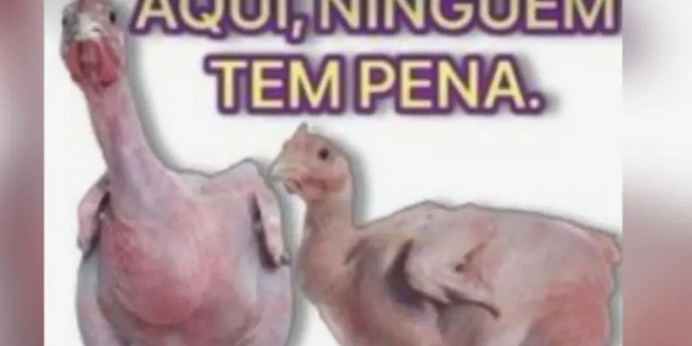 Imagem do grupo de WhatsApp Ministério das figurinhas