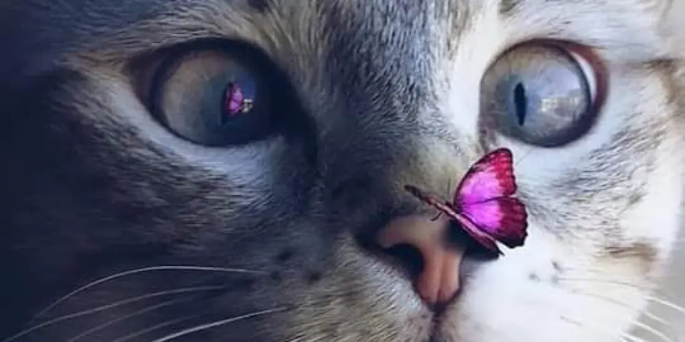 Imagem do grupo de WhatsApp Mister fron 🔷🧑‍🧒‍🧒🇧🇷🇨🇴🇷🇺🇵🇼