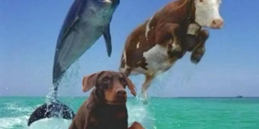 Imagem do grupo de WhatsApp ☆ƊƛƦƘ ƔƛMƤЄƦ☆