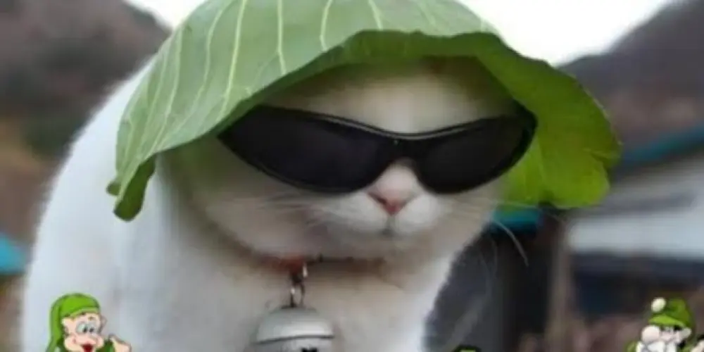 Imagem do grupo de WhatsApp M∆NI©OMIO👹