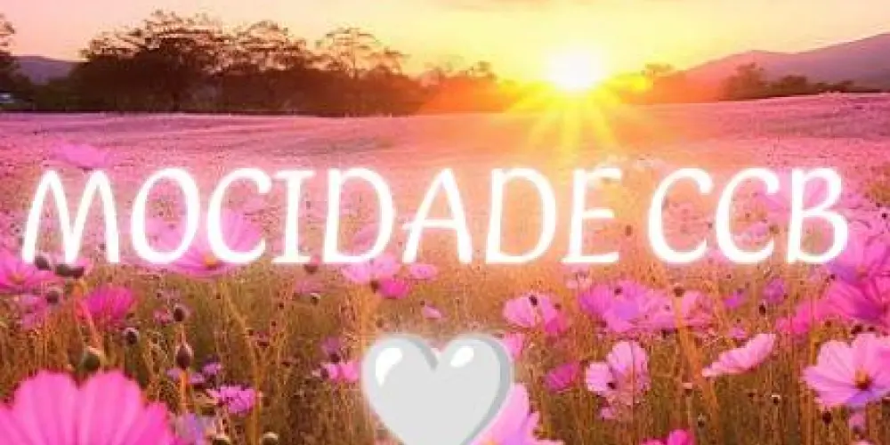 Imagem do grupo de WhatsApp Mocidade Valorosa 🤍