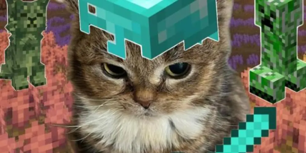 Imagem do grupo de WhatsApp MOD PARA MINECRAFT [100% GRÁTIS]