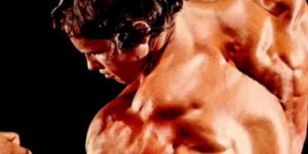 Imagem do grupo de WhatsApp Moldado na Dor 💪🏻