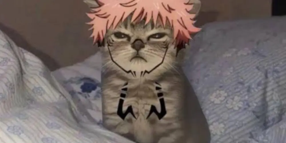 Imagem do grupo de WhatsApp Monarquistas Maninianos ❤️