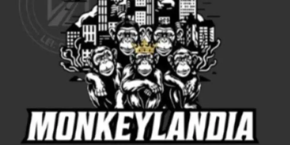 Imagem do grupo de WhatsApp 🦍MONKEYLANDIA🐒