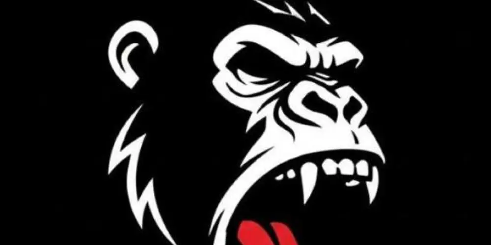 Imagem do grupo de WhatsApp 🦍 MONKEYLANDIA OFC 🦍