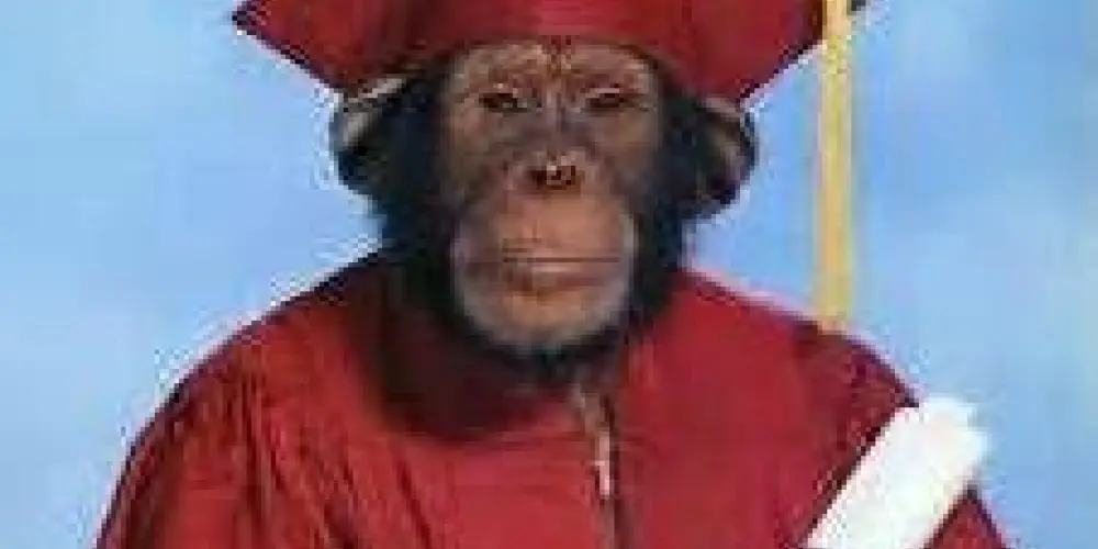 Imagem do grupo de WhatsApp monkeys'psdv