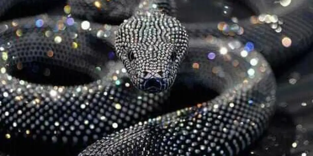 Imagem do grupo de WhatsApp ❌☠️Monster danger☠️ ❌