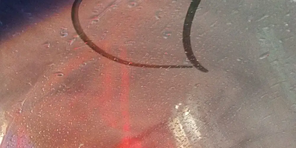 Imagem do grupo de WhatsApp 🌙  Møøn Society  🌙