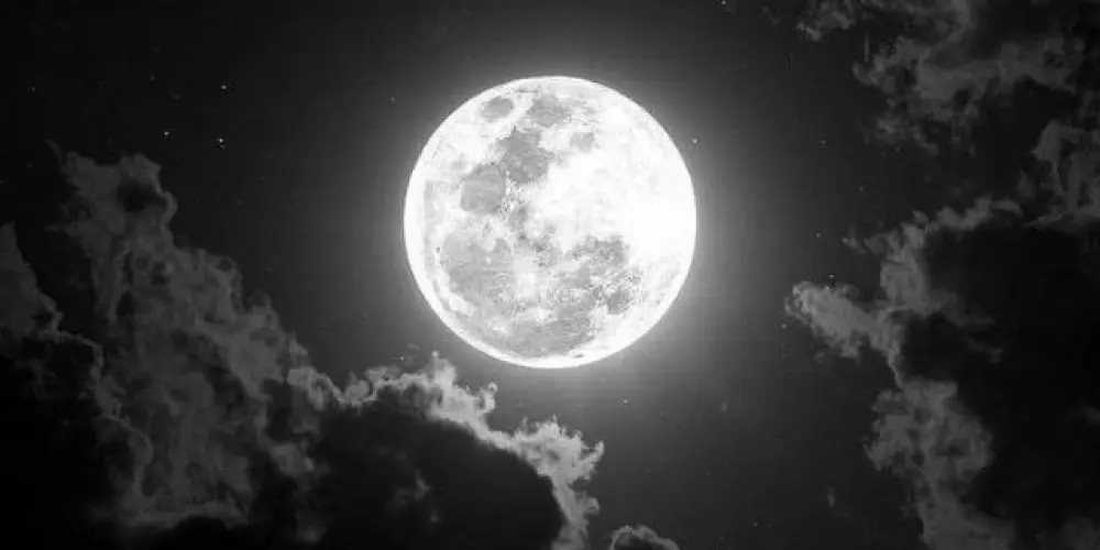 Imagem do grupo de WhatsApp Moonlight 😍