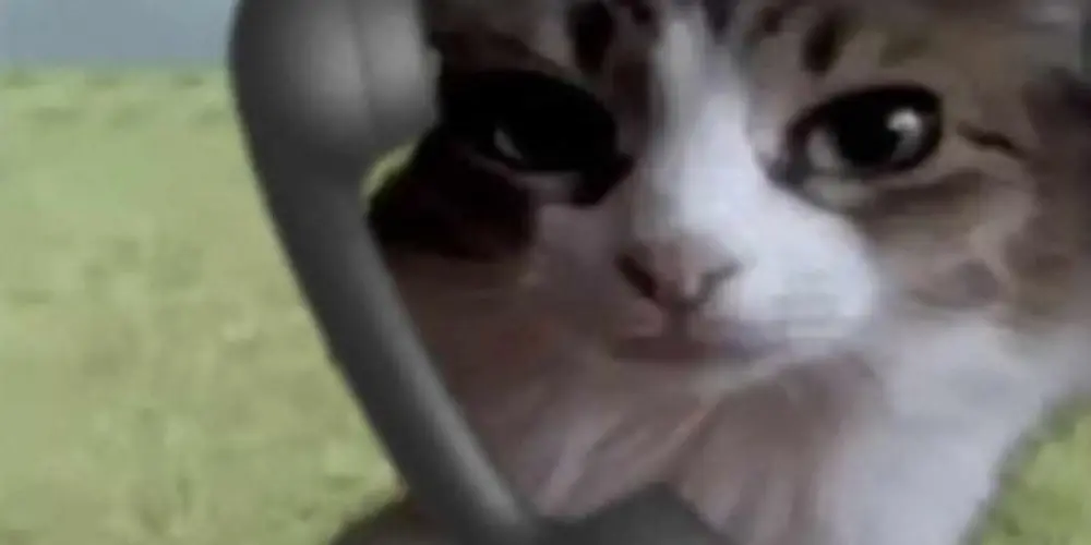 Imagem do grupo de WhatsApp ★ - Moops !! ෆ