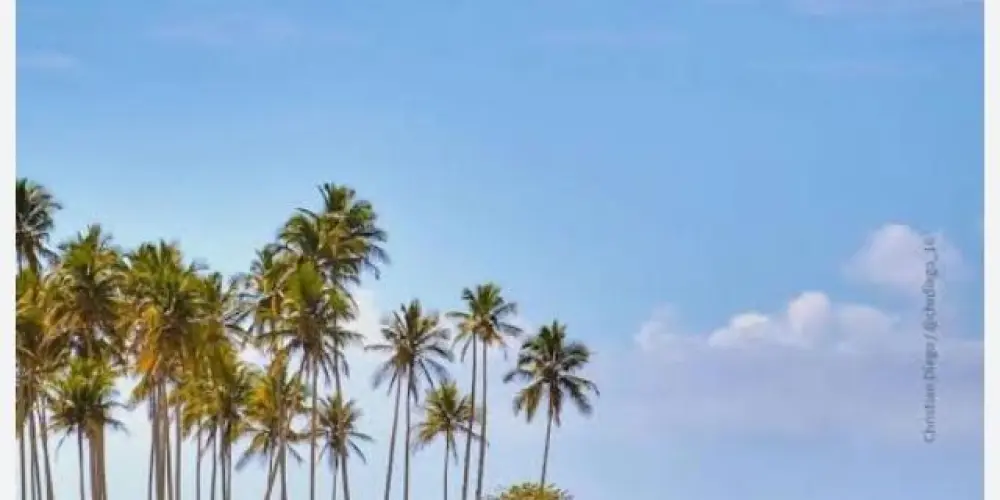 Imagem do grupo de WhatsApp 🟠Moradores Serra ES