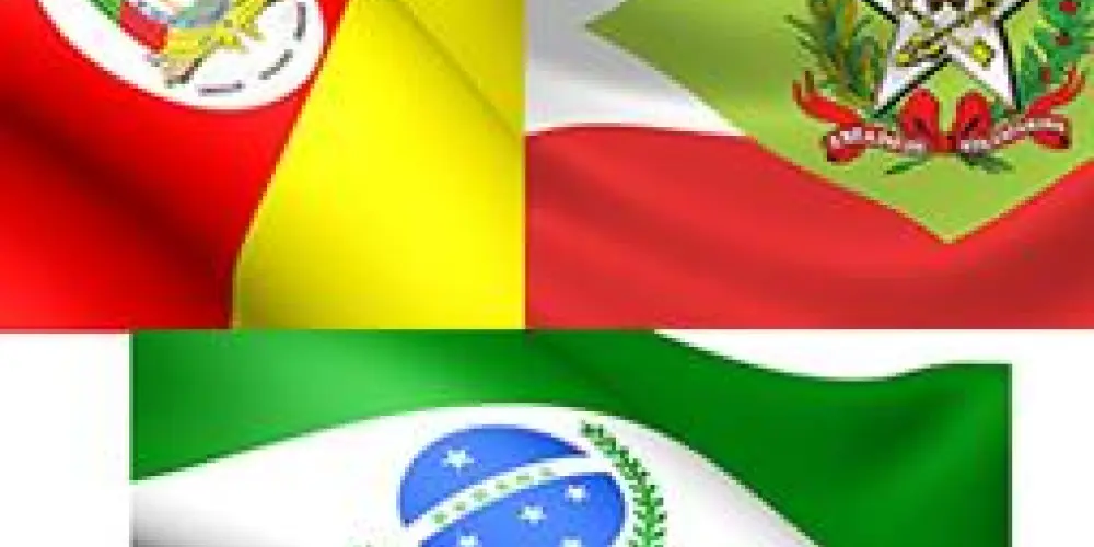 Imagem do grupo de WhatsApp Movimento Separatista dos Estados do Sul