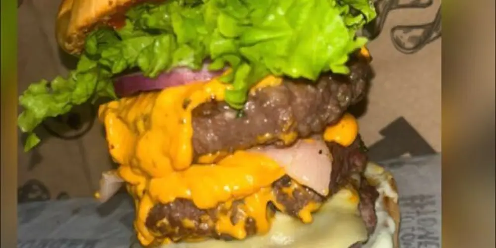 Imagem do grupo de WhatsApp Mr Fat Burguers 🍔😍❤️