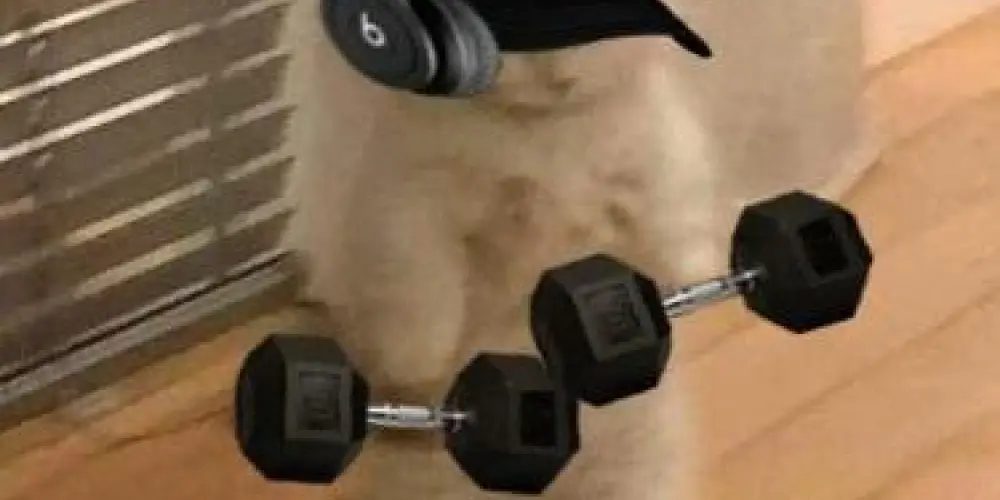 Imagem do grupo de WhatsApp ᎪmᎥᎶᎾs ᎠᎪ ᏃuᎬᎥᏒᎪ