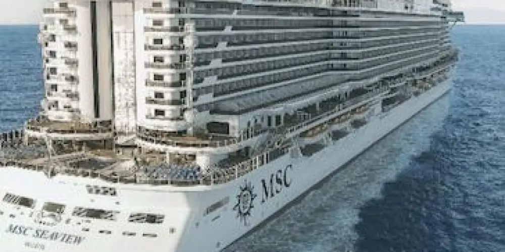 Imagem do grupo de WhatsApp MSC SEVIEW 2026/DICAS