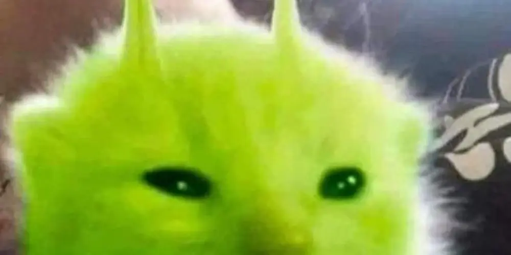 Imagem do grupo de WhatsApp M.T.K// W.K.A🌑