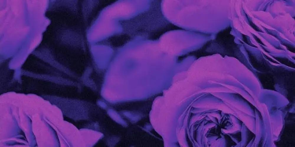 Imagem do grupo de WhatsApp ❦♡∰⍟муѕтι¢ Ꮢ𝖊ｃ𝖊𝚙ｃ̧ɑ̃օ