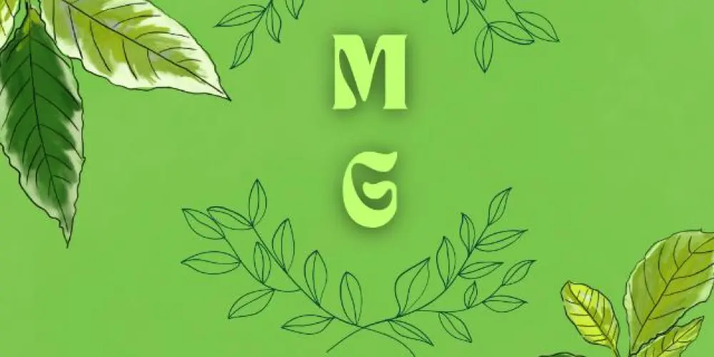 Imagem do grupo de WhatsApp MUKA GRAFICO