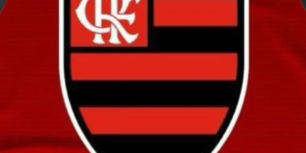 Imagem do grupo de WhatsApp mulheres flamenguistas