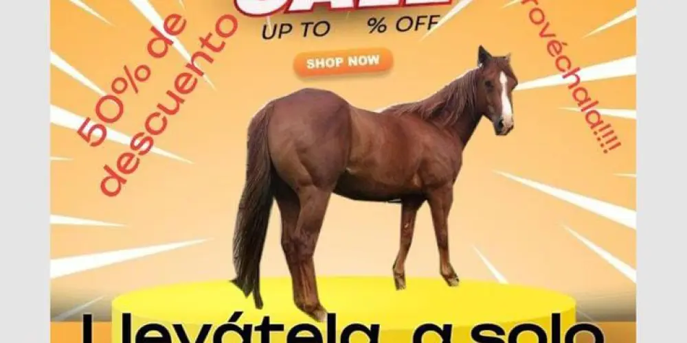 Imagem do grupo de WhatsApp Multifandom