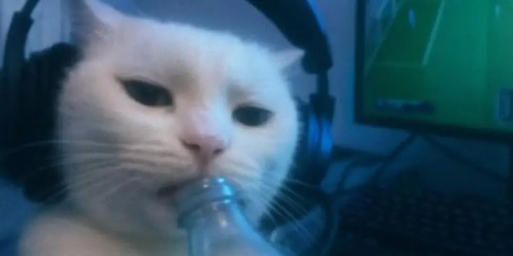 Imagem do grupo de WhatsApp Mundo azul 💙