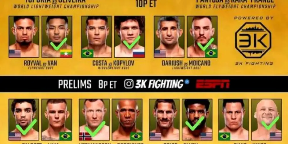 Imagem do grupo de WhatsApp Mundo do UFC