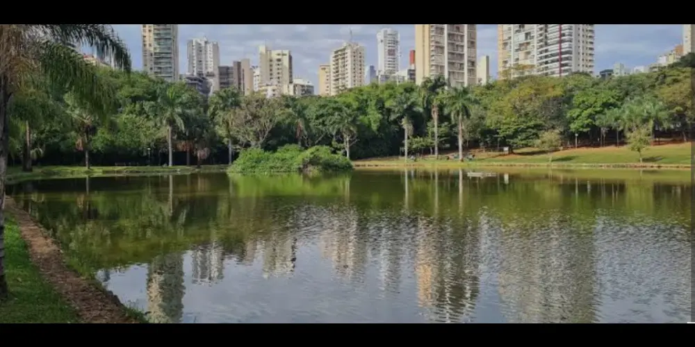 Imagem do grupo de WhatsApp Mundo liberal Goiânia e região 🔥
