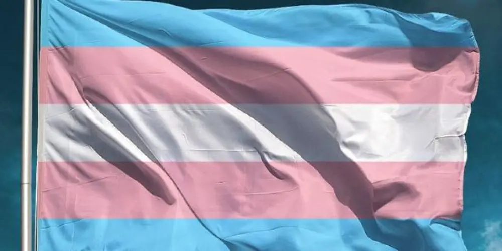 Imagem do grupo de WhatsApp Mundo Trans🏳️‍⚧️