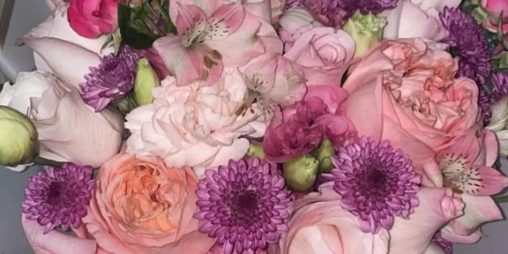 Imagem do grupo de WhatsApp MÚSICA 🎼🎸🎺AMOR E AMIZADE