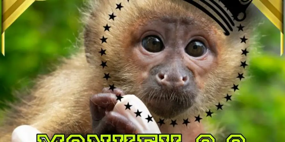 Imagem do grupo de WhatsApp ᎷϴΝᏦᎬᎽ 2.0