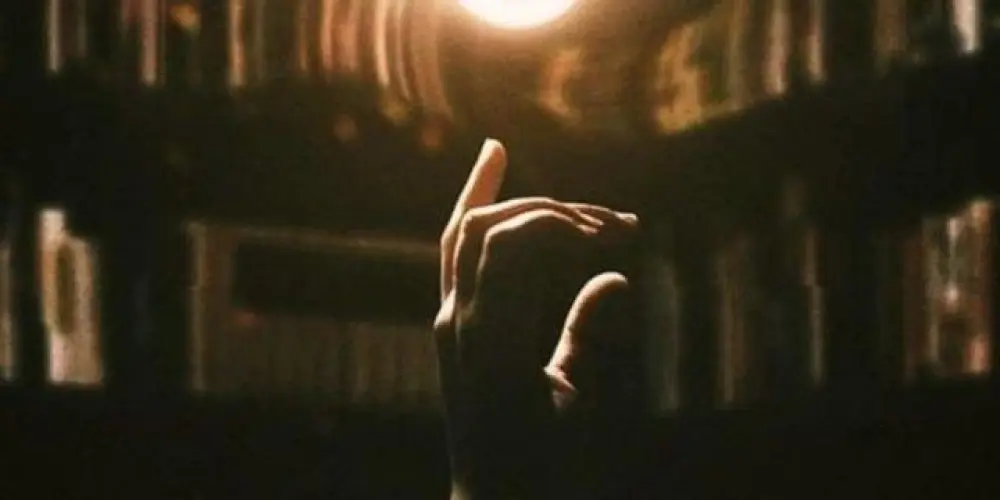 Imagem do grupo de WhatsApp N E X U S