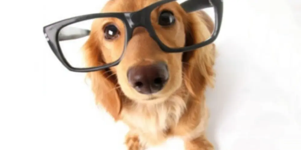 Imagem do grupo de WhatsApp ᎪᎷϴᎡ Ꭼ ᎡϴᎷᎪΝᏟᎬ ҒϴҒϴ 🧐