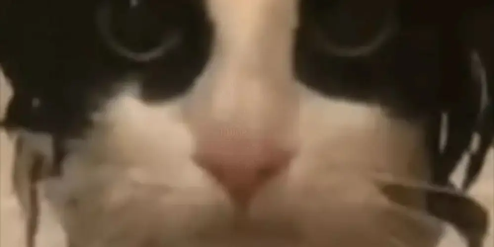 Imagem do grupo de WhatsApp 🖤  N O I T E  S E M  F I M  🖤