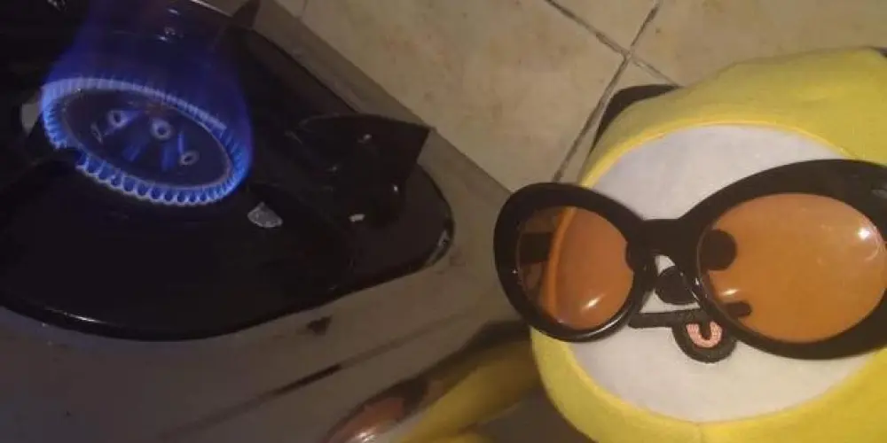 Imagem do grupo de WhatsApp Na casa do seu Zé 😎